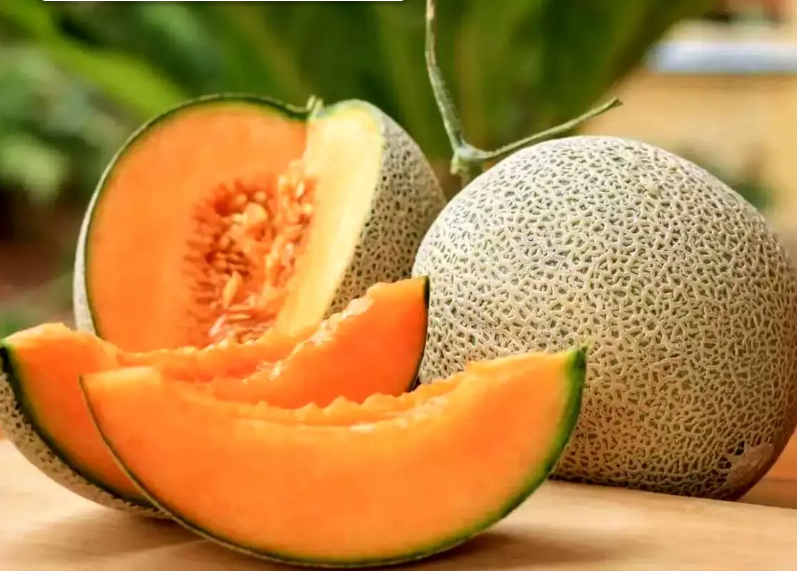 آیا ملون میوهای تراریخته و سرطان زا است؟