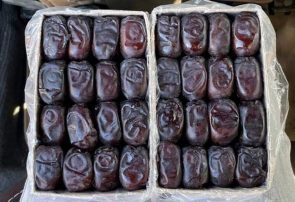 عرضه خرمای تنظیم بازار ویژه ماه مبارک رمضان عرضه خرمای تنظیم بازار ویژه ماه مبارک رمضان